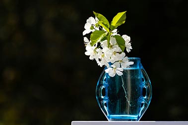 borosilicate glass vase