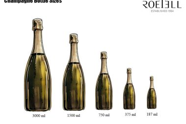 different champagne bottle sizes