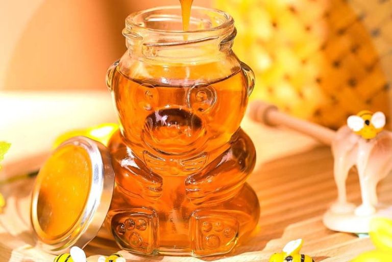 glass honey bear bottle