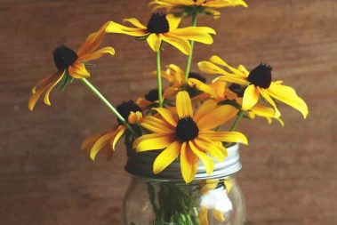 glass mason jar