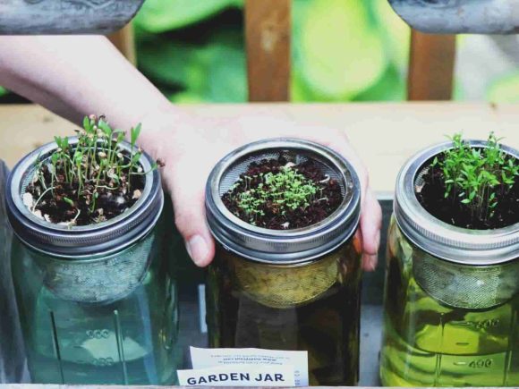 mason jar decoration ideas, as a plant container